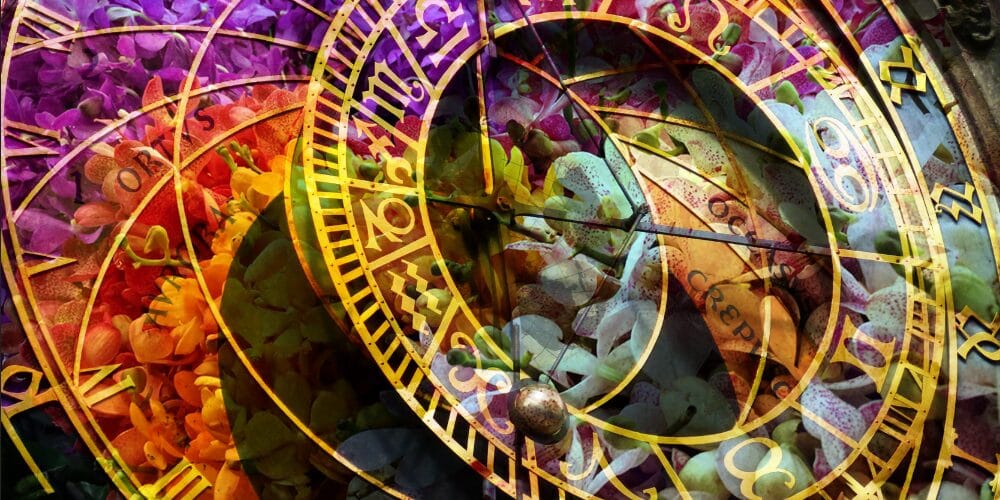 Horoscop Floral