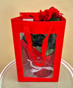 Begonia Red, fotografia 4