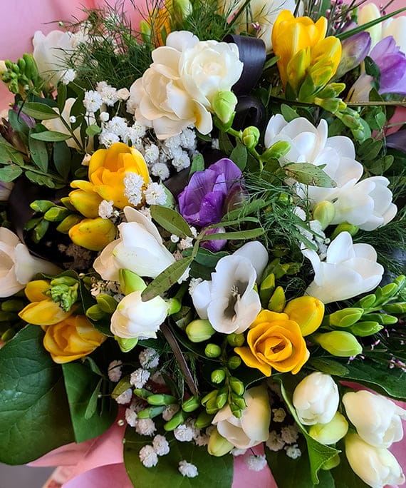 Buchet de frezii multicolore, fotografia 5