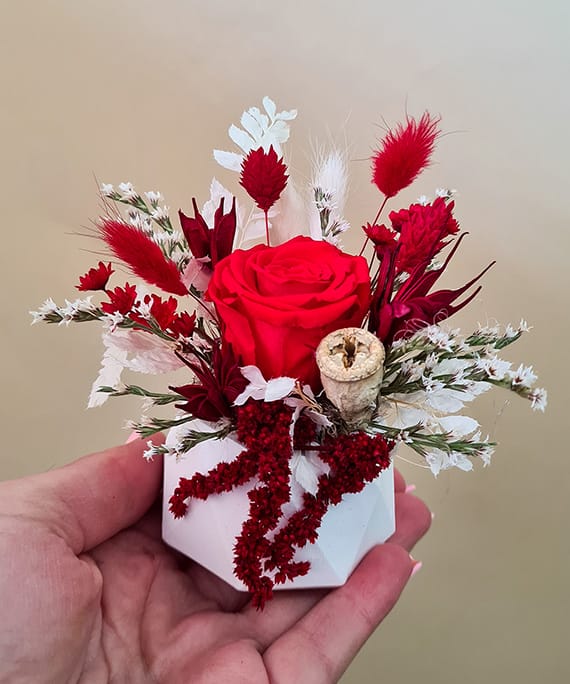 Mărțișor cu miniroză criogenată roșie în vas 4 Martisor cu miniroza criogenata rosie in vas 4