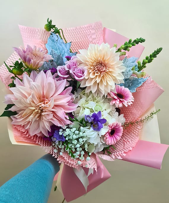 Hortensia Pink Pastels 1 Hortensia Pink Pastels 1