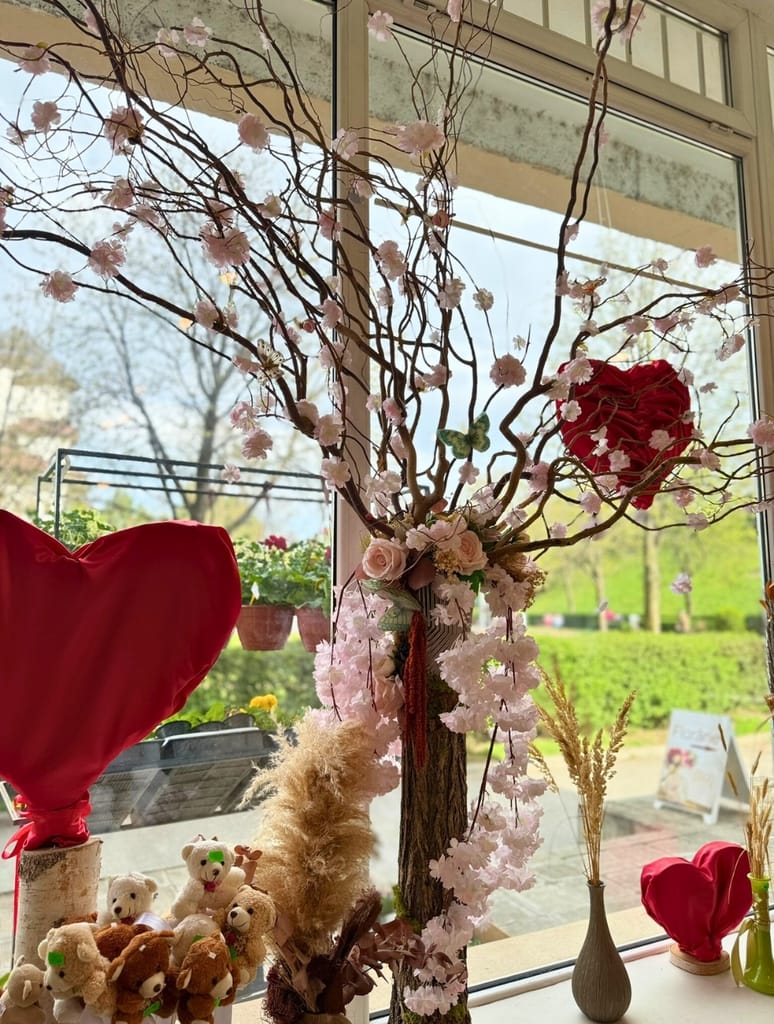 Hanami, tradiția florilor de cireș. Integrează în viața ta ritualul de apreciere a frumuseții 2 6