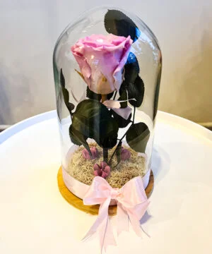Trandafir roz criogenat in cupola 1