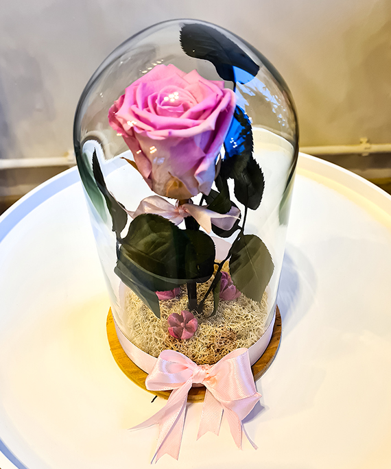 Trandafir roz criogenat in cupola 3