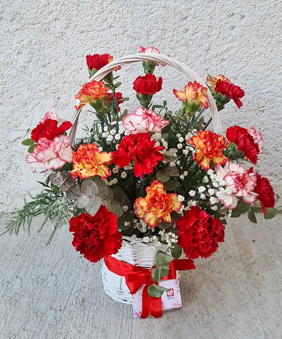 Cos Dianthus 1 1