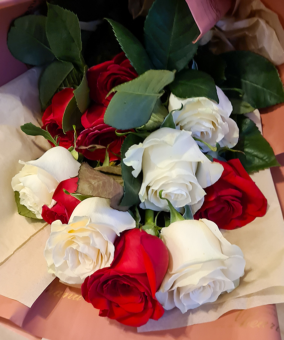 trandafiri albi si rosii 6