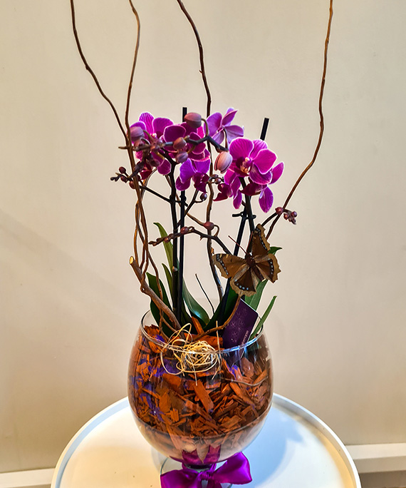Cupa de coniac cu orhidee 4 1