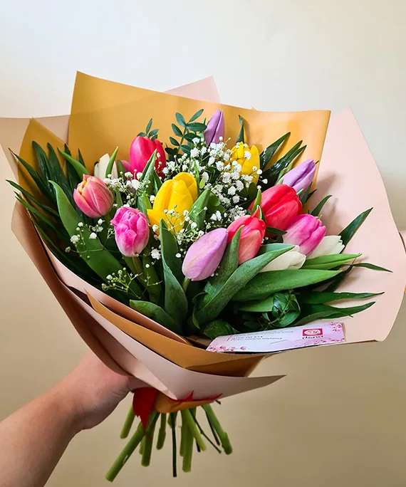Buchet 15 lalele multicolore cu gypso 1
