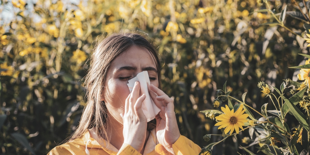 Alergiile la polen. Ce flori sa oferi persoanelor care au alergie la polen