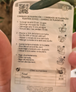 Măslin olea Europaea 6
