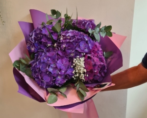 articol flori de toamna hortensia