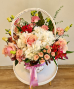 cos hortensia splendor 1