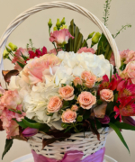 cos hortensia splendor 2