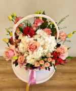 cos hortensia splendor 4