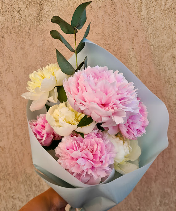 buchet 7 bujori 1