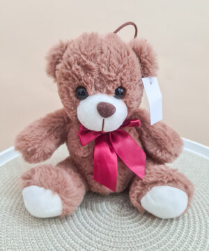 Ursuleț de Pluș Ciocolatiu