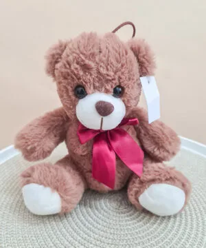 Ursuleț de Pluș Ciocolatiu