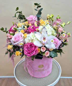 Cutie de Catifea Fairy Dreams