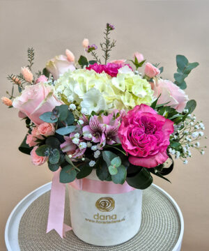 Cutie de Catifea Hortensia Mix