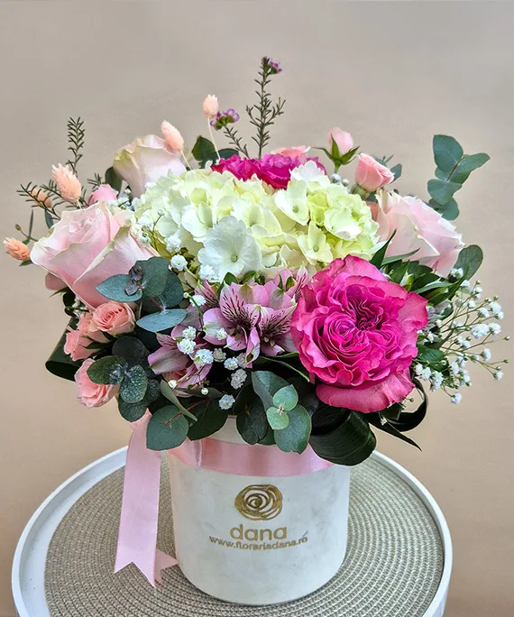 Cutie de Catifea Hortensia Mix 1
